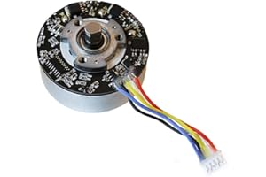 FLOWERINGBETER Motor sin escobillas BL5520 de alto rendimiento, 24 V CC, diseñado para aplicaciones de control de velocidad PWM