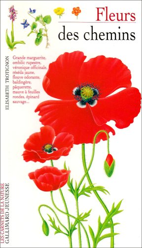 couverture de : Fleurs des chemins