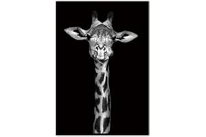 BUZHIA Bilder Auf Leinwand,Schwarze Und Weiße Tier Giraffe, Mode Dekor Leinwand Gemälde Kunstdruck Poster Bild Wand Schlafzimmer Wohnzimmer Dekoration Malerei Wandbild, 60 × 80 cm