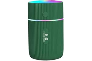 BESTLSY Mini-Ultraschall-Luftbefeuchter, USB-Diffusor für ätherische Öle, Autoreiniger, Aroma-Anionen-Nebelhersteller mit LED-Nachtlicht für Zuhause, Büro, Babyzimmer, Auto (Grün)