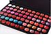 Accessotech 66 Colour Lip Gloss Palette Makeup Set Cosmetic Lipstick Beauty Case Lipgloss