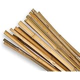 Suchergebnis auf Amazon.de für: pflanzenstützen: Garten