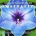 Produktbild Amaryllis