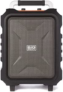 nikkei bigboxx trolley speaker