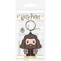 HARRY POTTER Portachiavi in gomma, multicolore, 4,5 x 6 cm ...