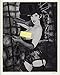 Produktbild Autogramme von Dita Von Teese Autogramme, 25,4 x 20,3 cm, Farbfoto, Betty Page – Crazy Horse – 100% Authentizität Garantiert – In Person Dealer – UACC Registered #242