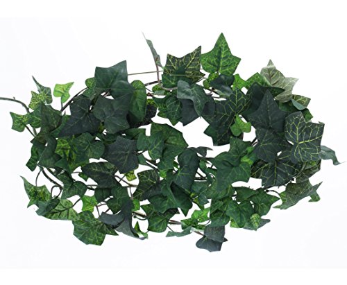 Günstige Efeu Grilande Hedera helix mit grünen textilen Blättern in unterschiedlichen Größen und einer Gesamtlänge von ca. 180cm – Kunstblume Rankpflanze Efeu Girlande Dekoration Kunstpflanze Restaurant Dekoration - 2