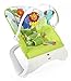 Fisher-Price Rainforest Bouncer