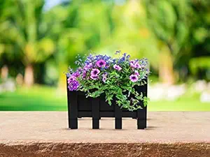 HINS Iron Metal Black Fence Railing Planter Flat Pipe For Indoor & Outdoor Gardening (Black, Medium) Metal Pots For Indoor Plants I Elevated Garden Planter I Raised Planter I Desk Plant I Raised Planter Box I Ascent Homes Metal Planter I Raised Planter Box With Legs I Brass Pots For Indoor Plants I Golden Planter I Mid Century Plant Stand I Brass Planters For Indoor Plants I Indoor Plant Stand For Living Room I Metal Planters Pot For Indoor Plants designer