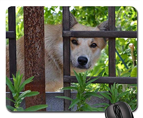 Preisvergleich Produktbild Gaming-Mauspads, Mäusematte, Dog Nature Nice