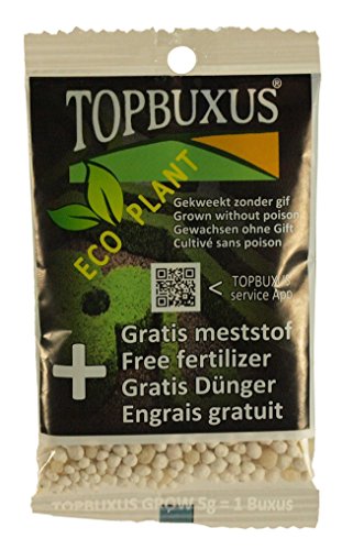5 Buchsbaum Pflanzen 45-50cm + gratis Dünger. Zertifiziert mit dem TOPBUXUS ECO-PLANT-Label. Gezüchtet ohne Gift. - 3