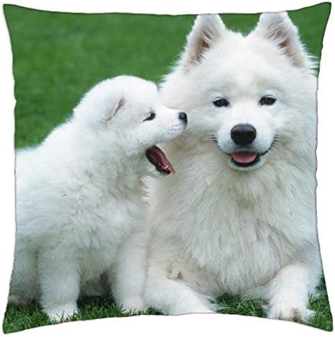 iRocket - Perritos Dogs - Throw Pillow Cover (16" x 16", 40cm x 40cm)