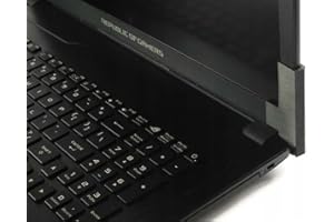 NetDan Asus ROG Strix ASUS ROG Strix GL753V GL753VE GL753VD Reperatur Set für Gehäuse Displaydeckel Scharniere (obere, schwarz)