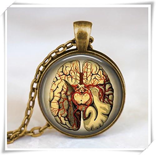 Anatomical brain necklace,anatomical brain pendant ,