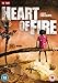 Heart Of Fire [DVD] [2008] by Letekidan Micael