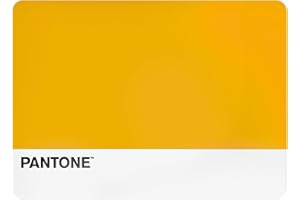 OSAMA HOME Pantone™ - Manteles Individuales de Plástico, 1 Pieza Rectangular Impermeable, Salvamanteles Individuales Antideslizante - Manteles de Mesa Antimanchas Pequeñas 45x30 Lavables a Mano y Ahorra Espacio