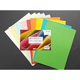 Temat 100 Page Colored Copy Paper