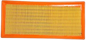 Purolator 79925298 High Performance Replacement Air Filter for Tata Safari Dicor Economy