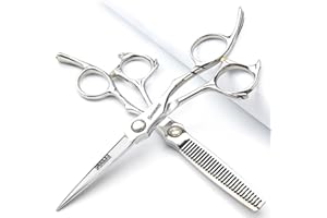6/6.5 pollici Sharonds tagliacapelli, forbici giapponesi professionali 440C, forbici efficienti, forbici, pettine regolatore (6 pollici, 2 pezzi)