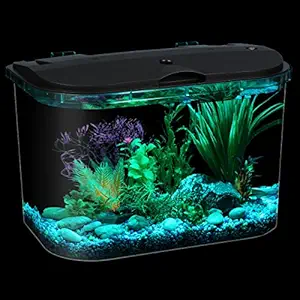 API Panaview Aquarium Kit with LED Lighting and Power Filter, 5-Gallon