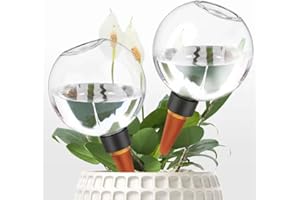 AODEJOY 2 Pcs 500ml Ball Shaped Automatic Watering Device, Plant Watering Globes, Glass Water-ing Spike, Portable Lazy Water-ing Foreign Device, Water Dripper Globes for Home Indoor Outdoor Balcony Dormitory