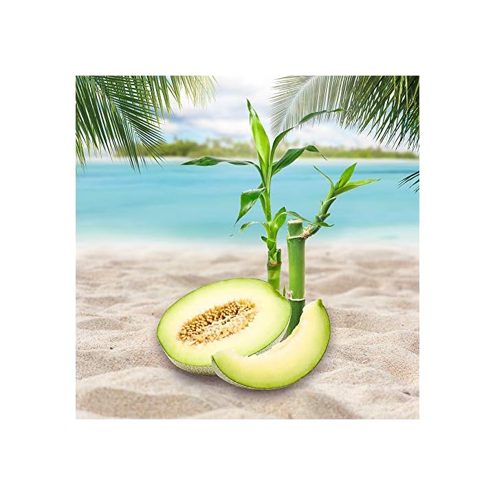 Air Wick Freshmatic Max Nachfüller Hawaiianische | Produktplatz.de