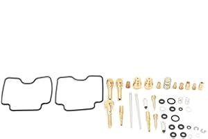 Yuecoom Kit de reparación de carburador de motocicleta para Yamaha Raptor 660 YFM660R 2001-2005 Kit de reconstrucción de carburador de goma metal