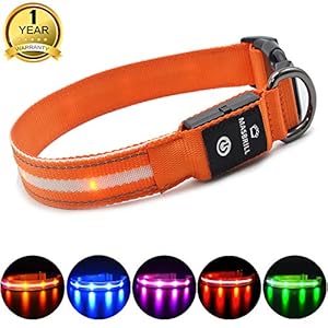 MASBRILL Cuello de Seguridad LED súper Brillante DC Recargable para Perros – excelente Visibilidad y Seguridad – Resistente al Agua (XS(35X2CM), Naranja)