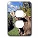 Price comparison product image 3dRose LSP_82188_6 Italy, Dolomite Alps, Swiss Brown Cow Eu16 Rer0140 RIC Ergenbright 2 Plug Outlet Cover