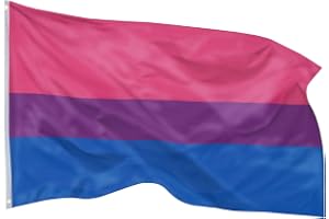PHENO FLAGS Bi Flagga 90 x 150 cm – väderbeständig Pride-flagga med mässingsöglor, 100 % polyester, robust dubbelsöm & i levande färger – perfekt för flaggälskare