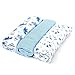 Giant Blue Muslins with Dinosaur Print