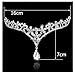 FOONEE Rhinestone Wedding Bridal Heart Crowns Tiaras Headpiece for Pageant Quinceaneras (Silver)