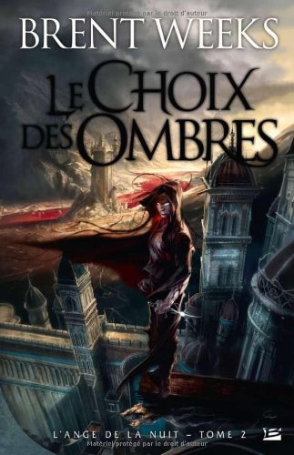 couverture de : Le Choix des Ombres