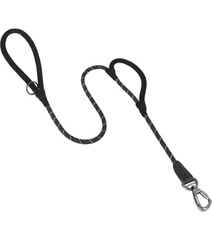 Wasserdichte Hundeleine Mit 2 Haken – 1,52 M Lang, 1,27 Cm Breit, PVC-Material, Verstellbar & Geruchsdicht, Lila