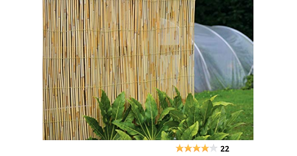 Tenax Reed Screen 4m X 1 5m Amazon Co Uk Garden Outdoors