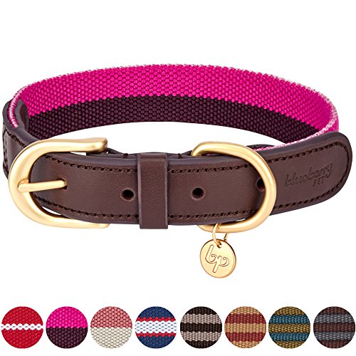 Blueberry Pet Vintage Chic Two Tone Genuine Leather Dog Collar in Hot Pink and Purple, Medium, Neck 38cm-46cm, Adjustable Collars for Dogs