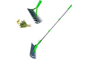 UEZETH Aérateur de pelouse scarificateur avec poignée, outil d'aération, outil d'aération, scarification manuelle pour l'entretien et l'entretien de la pelouse, râteau de déchaumage, outil de jardinage (1,3