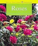Image de Roses : 100 roses pour répondre à tous vos besoins, les conseils d'un spécialiste pour choisir et entretenir vos roses