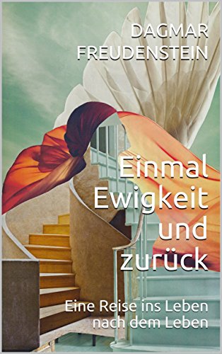 Einmal Ewigkeit und zurück: Eine Reise ins Leben nach dem Leben