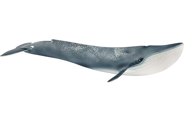 schleich WILD LIFE | Blåval 14806 | 11 x 27 x 6 cm | Lekfigur från 3 år | realistiska djurfigurer