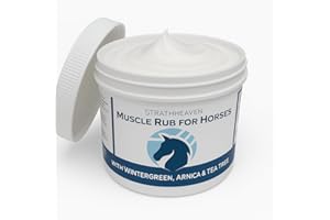 STRATHHEAVEN EQUINE PRODUCTS Equine Muscle Rub with Arnica, Peppermint, Tea Tree & Wintergreen – Natural Horse Liniment for Sore Muscles & Stiff Joints – Fast-Acting Cooling Relief - 500ml