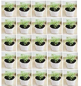 YUVAGREEN Terrace Gardening UV Treated Poly Grow Bags (White Outside, Black Inside - 15 Bags)