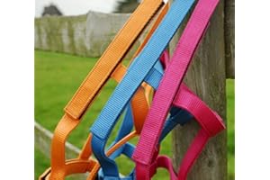 Rhinegold Licol sans métal