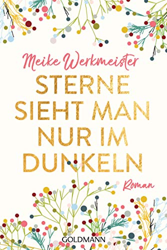 Sterne sieht man nur im Dunkeln: Roman