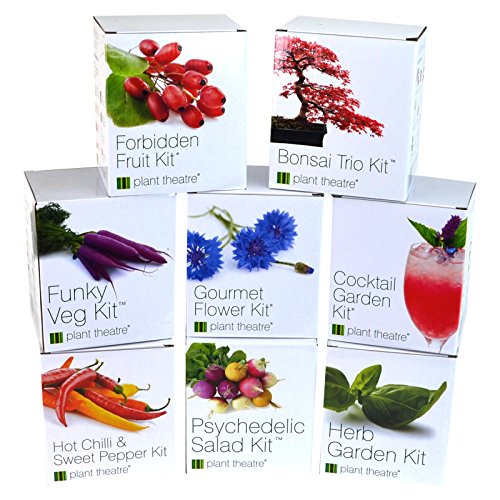 Kit Chili & Paprika von Plant Theatre – 6 verschiedene Sorten zum Züchten – Ein tolles Geschenk - 3