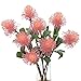 Produktbild D-SYANA8 Künstliche Blume Leucospermum Cordifolium für den Garten, Hochzeit, Party, Dekoration, Gelb Hellrosa