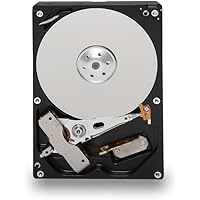 TOSHIBA DT01ACA100 1TB 7200 RPM 32MB Cache SATA 6.0Gb/s 3.5-Inch Internal Hard Drive Bare Drive, Nero