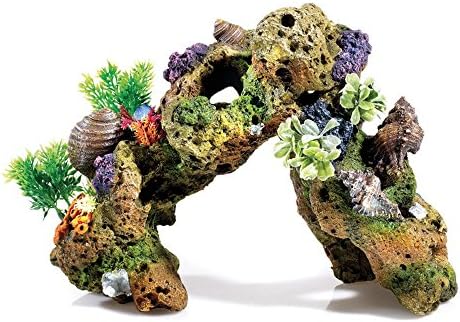 Caldex Classic Coral Life Large Lava Rock With Plants (One Size) (Multicoloured)