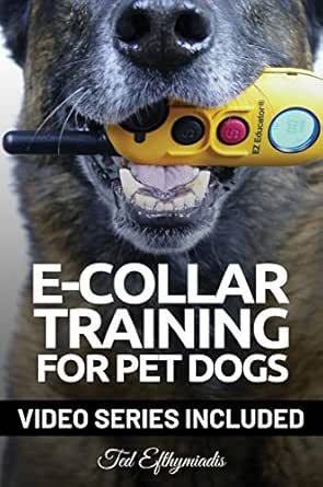 e dog training collar