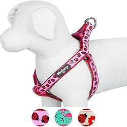Blueberry Pet Harnais Tour de poitrail: 42-54cm, Motifs Coccinelle, Harnais Chien, Réglable, Nylon, Collier et Laisse Assortis Vendus séparément.